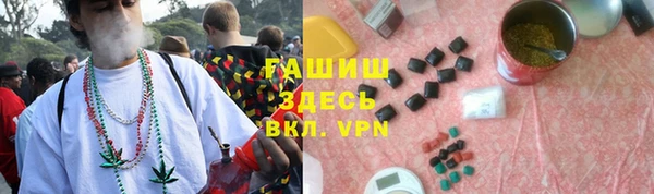 эйфоретик Вяземский