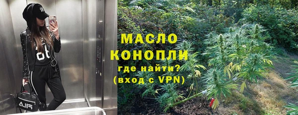 эйфоретик Вяземский