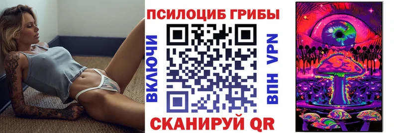 Купить  Петровск-Забайкальский  Псилоцибиновые грибы Cubensis 
